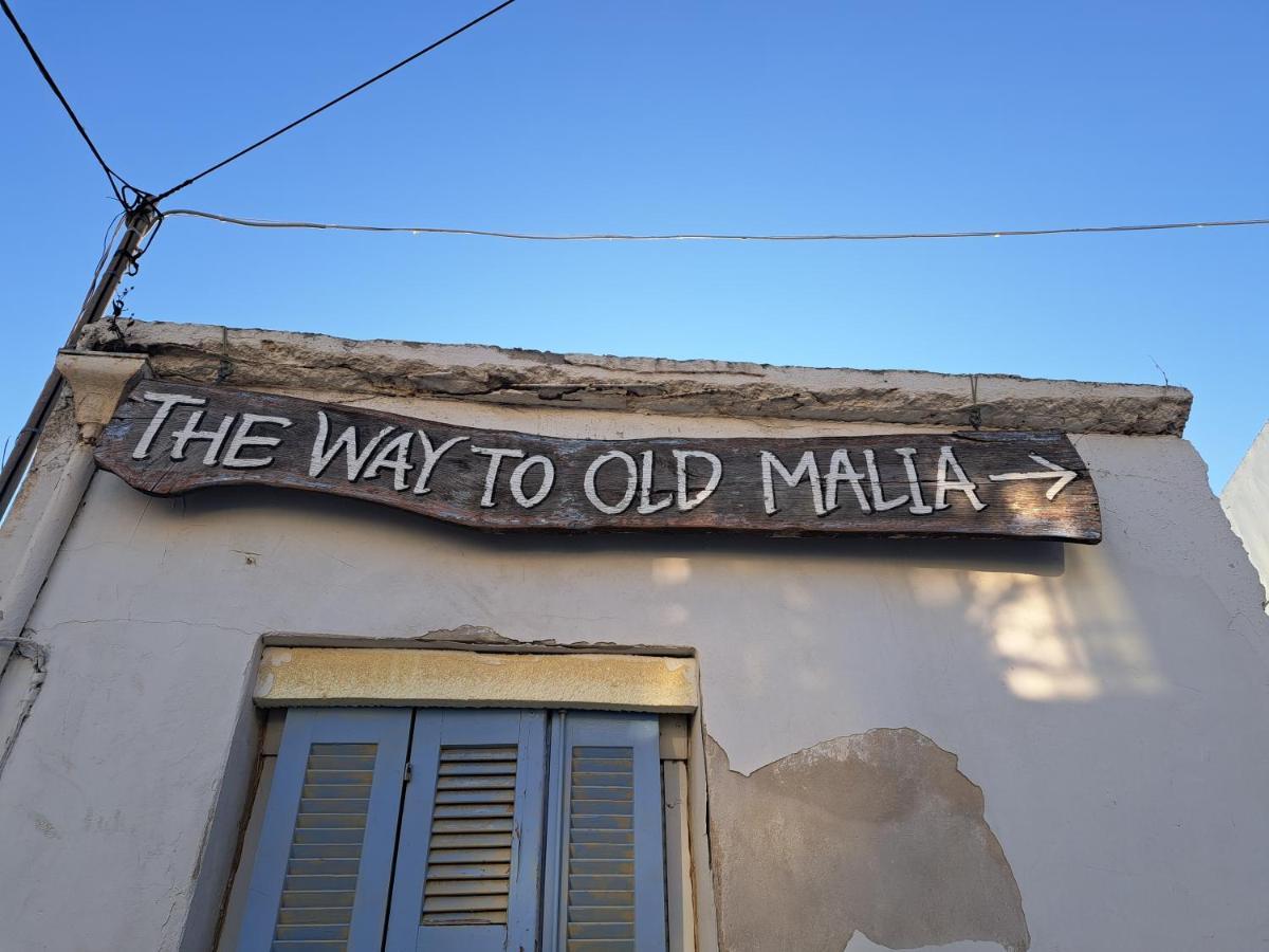 Stella Apartments Malia Экстерьер фото