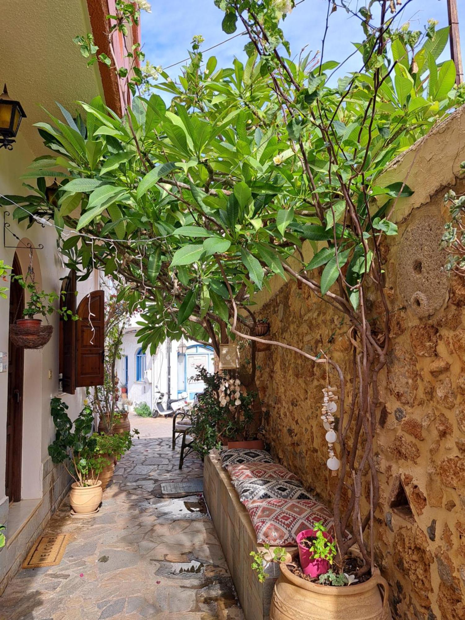 Stella Apartments Malia Экстерьер фото